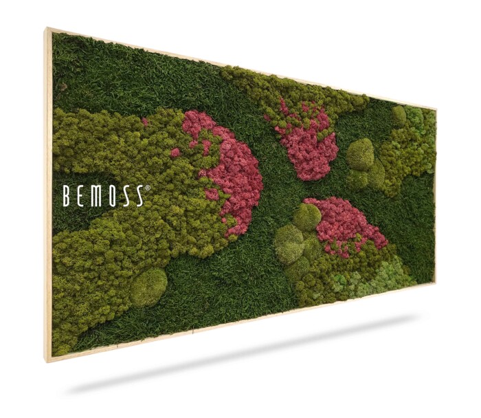 Un Tableau de mousse rectangulaire BEMOSS® ORTHO MEDIUM présentant différents types de mousse dans des tons verts riches, rehaussés de taches de mousse rose. L’œuvre a une texture naturelle et organique encadrée dans une bordure en bois clair.