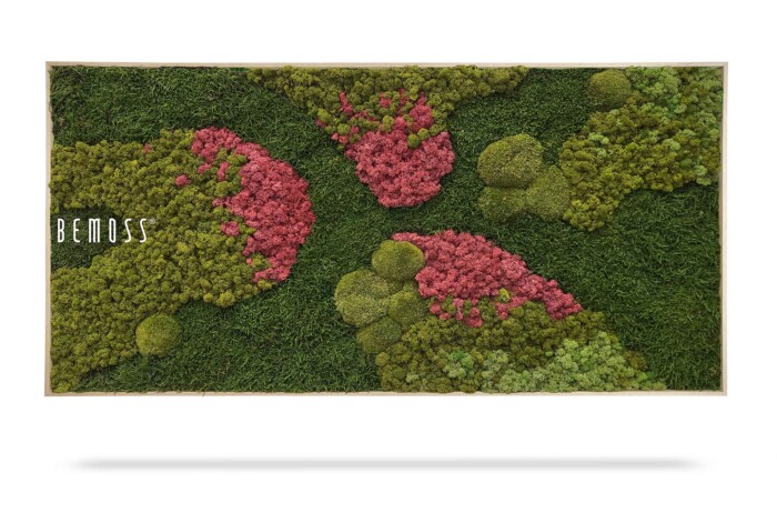 Un Tableau de mousse BEMOSS® ORTHO MEDIUM présentant un arrangement vibrant de mousse préservée verte et rose. La mousse est artistiquement placée, créant un motif naturel et texturé dans un cadre en bois, lui donnant un aspect luxuriant et organique.