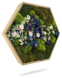 Un cadre hexagonal en bois rempli d'un arrangement de mousse verte, de fleurs séchées bleues et blanches et de petits feuillages. Le mot "BEMOSS" est imprimé sur le côté gauche du cadre. Le cadre projette une ombre subtile sur le fond blanc.