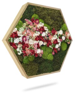 Un cadre hexagonal en bois présentant un arrangement de mousse verte préservée, avec un mélange de fleurs rouges, blanches et roses vibrantes. Le mot « BEMOSS » est affiché en évidence sur le côté gauche de l'arrangement. La pièce est placée sur un fond blanc.