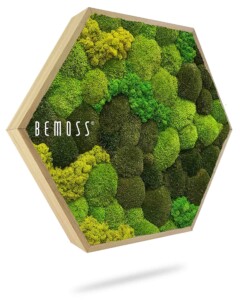 Une œuvre d'art murale hexagonale remplie de différentes nuances de mousse verte formant un motif texturé et organique. Le cadre est en bois et le produit porte le logo « BEMOSS® ». L'œuvre semble flotter sur un fond blanc.