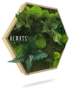 Un cadre hexagonal en bois rempli de mousse verte vibrante et de fougères artificielles, créant un jardin vertical texturé. Le mot « BEMOSS® » est imprimé sur le côté gauche du cadre. Le design offre une esthétique luxuriante et naturelle pour les espaces intérieurs.