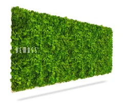 Un jardin vertical rectangulaire au feuillage vert luxuriant, marqué du logo « Tableau de mousse BEMOSS® MIMI » sur le côté gauche. Les feuilles sont disposées de manière dense et uniforme, créant un mur vert vibrant sur un fond blanc, ressemblant à d'élégants murs végétaux.