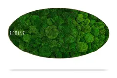 Une pièce décorative de forme ovale présentant une surface de mousse verte luxuriante avec différentes textures et nuances de vert. Le mot « BEMOSS » est écrit en blanc dans le coin supérieur gauche du Tableau de mousse Ellipse FLATMOSS. L'ombre ci-dessous suggère qu'il est suspendu ou surélevé.