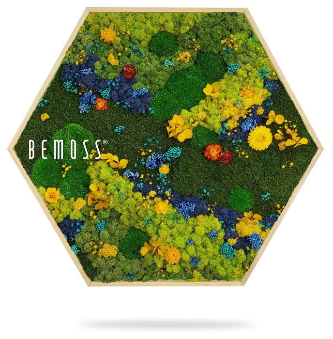 Un cadre en bois hexagonal présente un arrangement vibrant et texturé de mousse préservée et de fleurs colorées dans des tons de bleu, de jaune et de vert. Les mots 