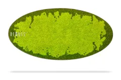 Un objet rectangulaire de forme ovale présente une surface de mousse vert vif avec des bords irréguliers. Le mot « Tableau de mousse Ellipse FLATMOSS » est écrit en blanc sur le côté gauche. L'objet ressemble à des murs en mousse et apparaît isolé sur un fond blanc avec une ombre subtile en dessous.