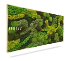 Une œuvre d’art mural en mousse à cadre vertical présentant différentes nuances et textures de mousse verte. La mention « Tableau de mousse BEMOSS® ORTHO SPRING (Kópia) » est visible sur le côté gauche. L'œuvre d'art a un aspect naturel et organique avec un mélange de touffes vert clair et foncé disposées selon un motif abstrait.