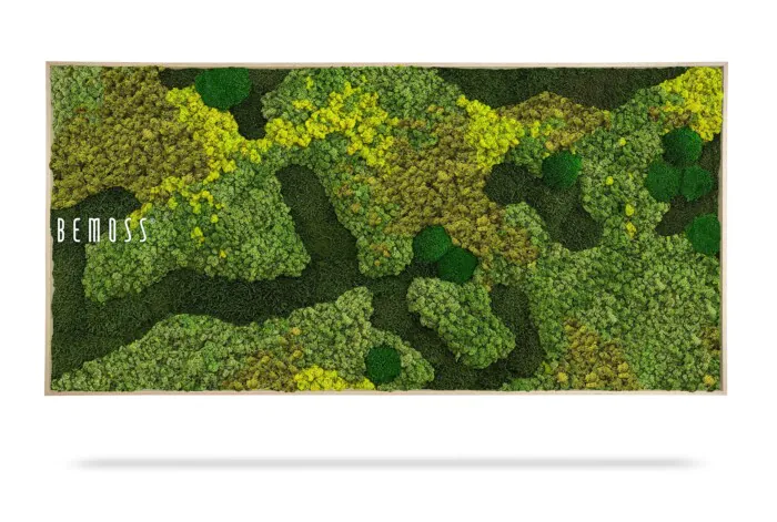 Une œuvre d'art murale rectangulaire présentant diverses nuances de mousse verte préservée, disposées selon un motif abstrait ressemblant à un paysage naturel. Le mot « Tableau de mousse BEMOSS® ORTHO MEDIUM » est imprimé en texte blanc sur le côté gauche de la pièce.